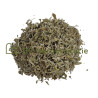 Sauge officinale feuille entière