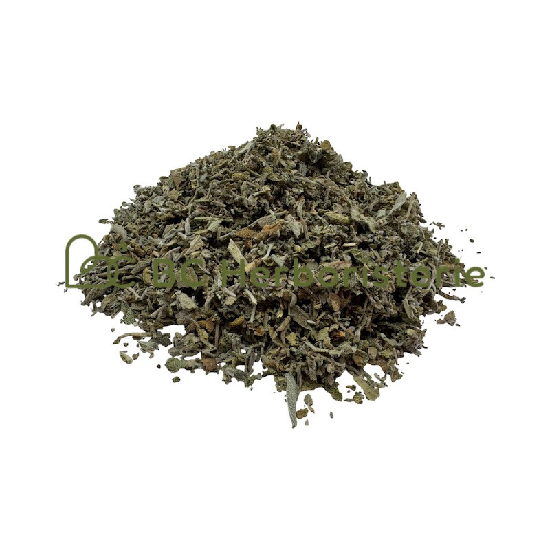 Sauge officinale feuille coupée