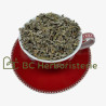 Sauge officinale feuille coupée