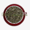 Sauge officinale feuille coupée