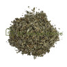 Sauge officinale feuille coupée