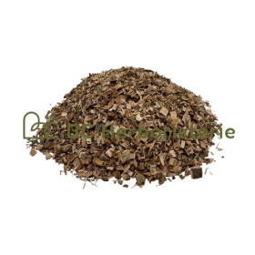 Saule écorce