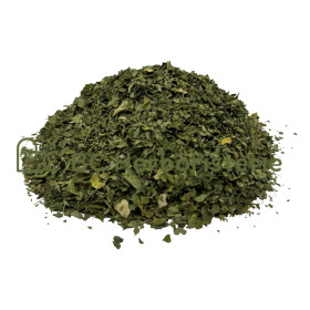 Moringa feuille