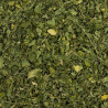 Moringa feuille