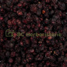 Schizandra baie