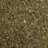 Thym citron feuille