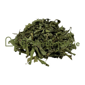 Verveine odorante feuille...