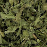 copy of Absinthe petite sommités
