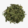 Verveine odorante feuille entière