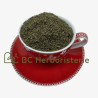 Ortie piquante fruit