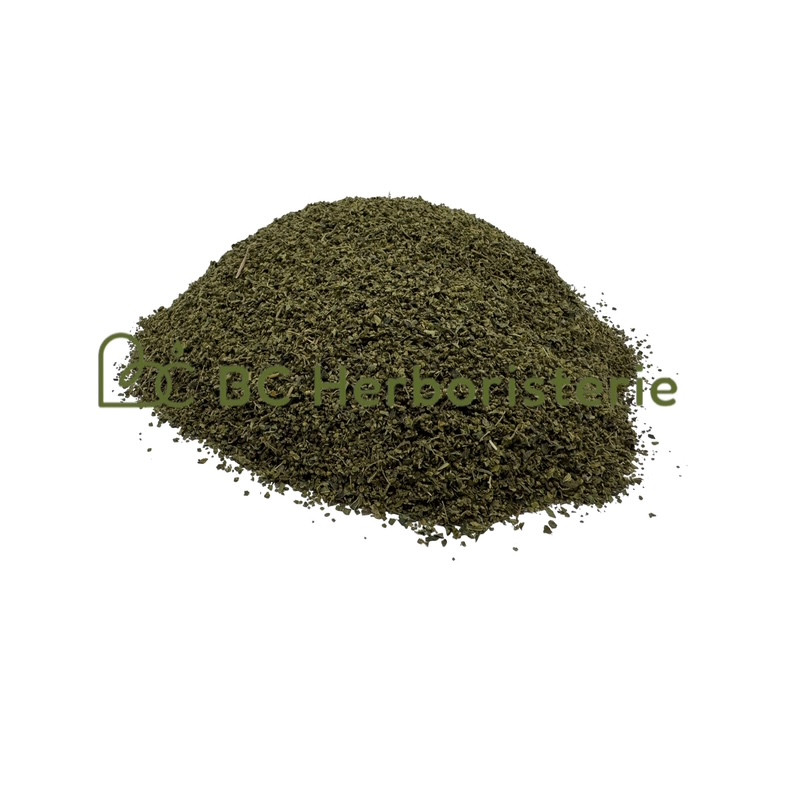 Ortie piquante fruit