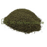 Ortie piquante fruit
