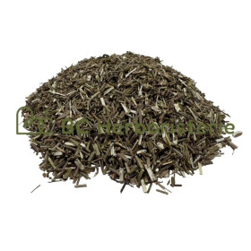 Verveine officinale partie...