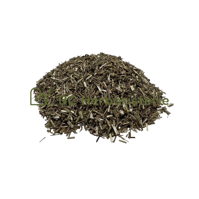 Verveine officinale partie aérienne