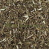 Verveine officinale partie aérienne