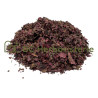 Vigne rouge feuille