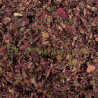 Vigne rouge feuille