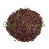 Vigne rouge feuille