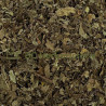 copy of Absinthe petite sommités