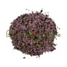 Sels de bain "Tempête de fraîcheur" 250g