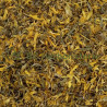 Souci tango fleur coupée