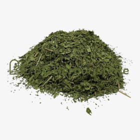 Stevia feuille