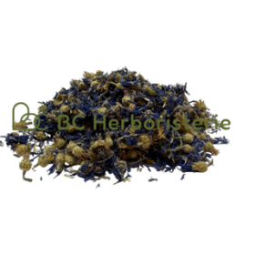Bleuet fleurs